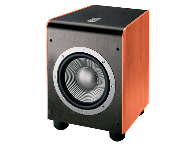 ES150P Powerful 500 watt 10 inch Powered Subwoofer